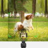 Selfie Stick Ai Smart Version Electric Mobile Phone Holder Face Recognition Tracking Shooting