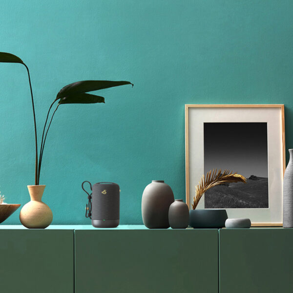 Enceinte sans fil Bluetooth audio
