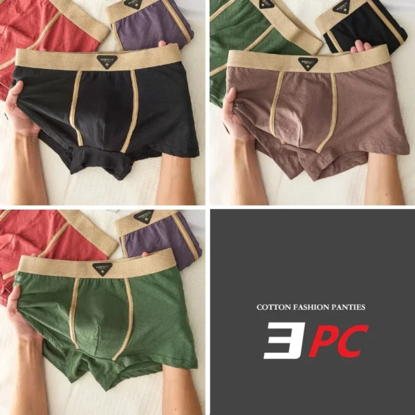 Ensemble de 3 sous-vêtements pour homme 100 % coton, automne-hiver, nouveauté 10A, boxers antibactériens, coupe ample et confortable, caleçons quadrangulaires.