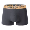 Lot de 10 sous-vêtements pour hommes (couleurs aléatoires), boxers unis tendance et très populaires, doux et antibactériens pour la peau.