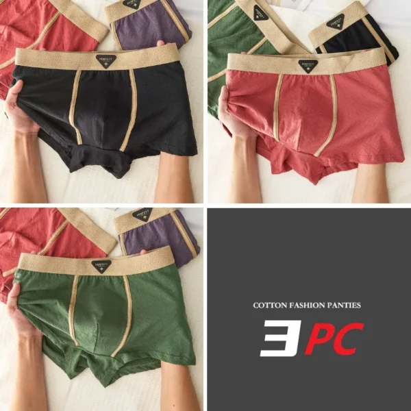 Ensemble de 3 sous-vêtements pour homme 100 % coton, automne-hiver, nouveauté 10A, boxers antibactériens, coupe ample et confortable, caleçons quadrangulaires.
