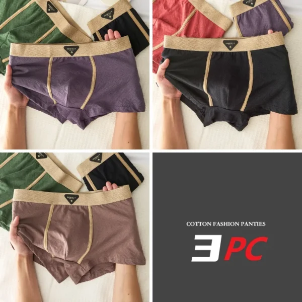 Ensemble de 3 sous-vêtements pour homme 100 % coton, automne-hiver, nouveauté 10A, boxers antibactériens, coupe ample et confortable, caleçons quadrangulaires.