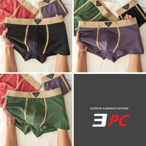 Ensemble de 3 sous-vêtements pour homme 100 % coton, automne-hiver, nouveauté 10A, boxers antibactériens, coupe ample et confortable, caleçons quadrangulaires.