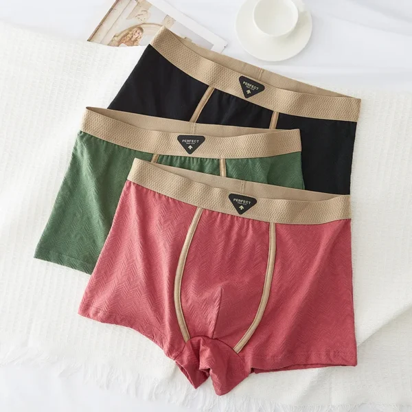 Ensemble de 3 sous-vêtements pour homme 100 % coton, automne-hiver, nouveauté 10A, boxers antibactériens, coupe ample et confortable, caleçons quadrangulaires.