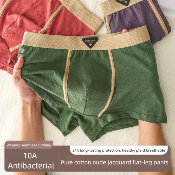 Ensemble de 3 sous-vêtements pour homme 100 % coton, automne-hiver, nouveauté 10A, boxers antibactériens, coupe ample et confortable, caleçons quadrangulaires.