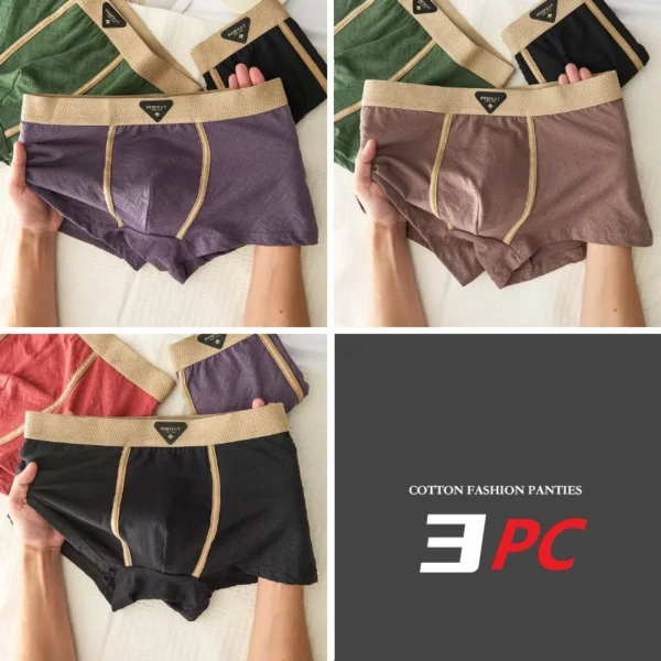 Ensemble de 3 sous-vêtements pour homme 100 % coton, automne-hiver, nouveauté 10A, boxers antibactériens, coupe ample et confortable, caleçons quadrangulaires.
