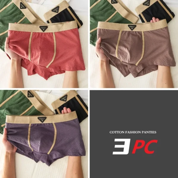 Ensemble de 3 sous-vêtements pour homme 100 % coton, automne-hiver, nouveauté 10A, boxers antibactériens, coupe ample et confortable, caleçons quadrangulaires.